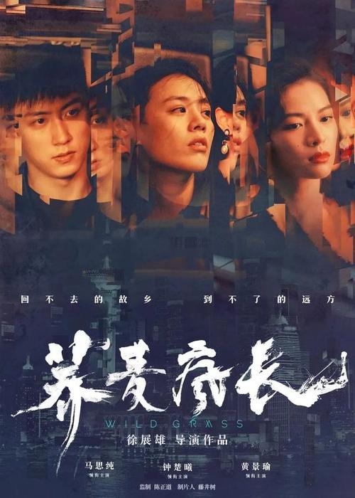 做假的婚姻状况证明